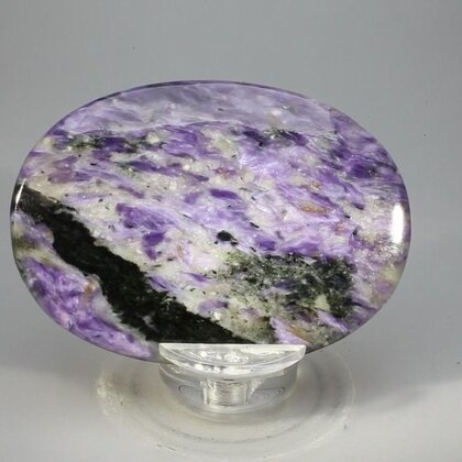 Charoite Palmstone (Extra Grade) ~70x50mm