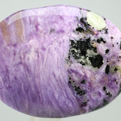 Charoite Thumbstone (Extra Grade)  ~40 x 30mm