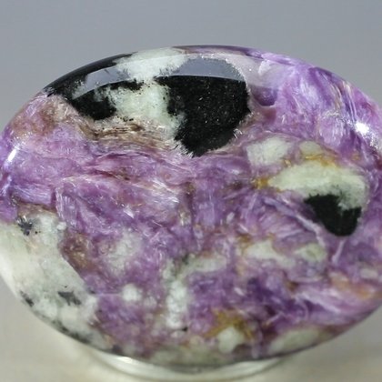 Charoite Thumbstone (Extra Grade) ~40 x 30mm