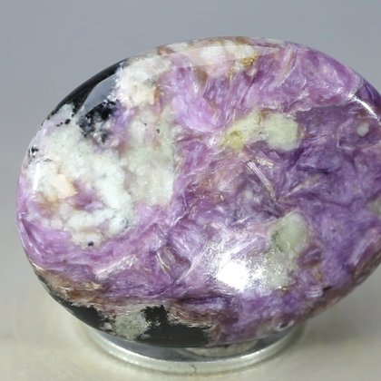 Charoite Thumbstone (Extra Grade) ~40 x 30mm