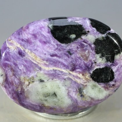 Charoite Thumbstone (Extra Grade) ~40 x 30mm