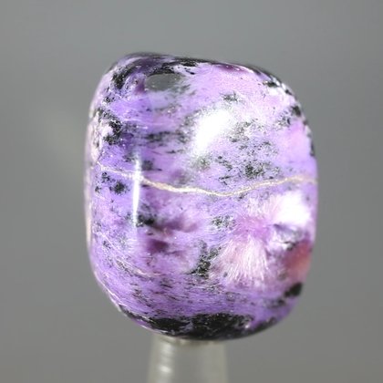 Charoite Tumblestone ~31mm