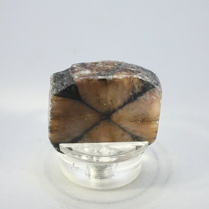 Chiastolite Polished Slice ~30mm