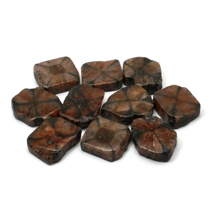 Chiastolite Polished Slice ~30-35mm