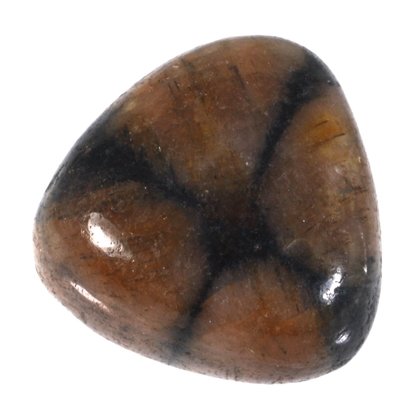 Chiastolite Polished Stone ~21mm