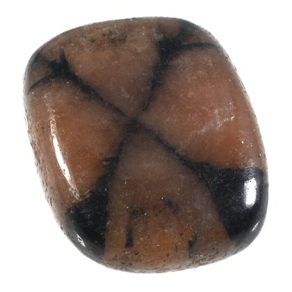 Chiastolite Polished Stone ~22mm