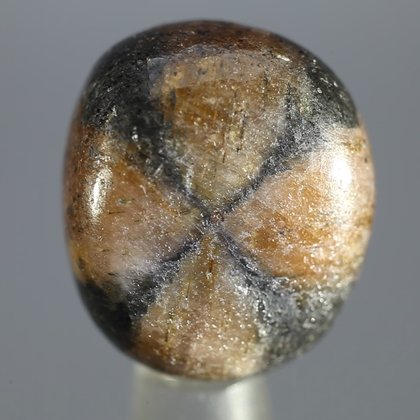 Chiastolite Polished Stone ~22mm