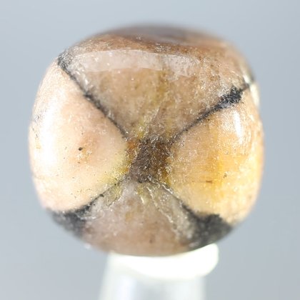 Chiastolite Tumblestone ~22mm