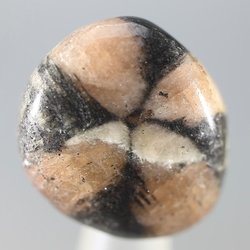 One Chiastolite Cross Tumbled Stone 20-25mm Healing Crystal Andalusite Death 