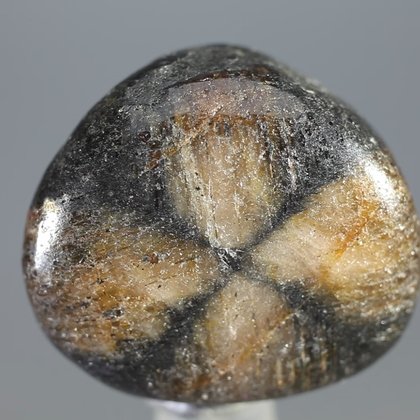 Chiastolite Tumblestone ~23mm