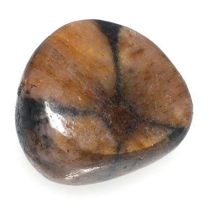 Chiastolite Polished Stone ~23mm