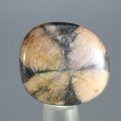 Chiastolite Polished Stone ~23mm