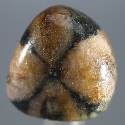 Chiastolite Polished Stone ~24mm