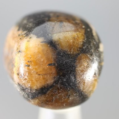 Chiastolite Tumblestone ~24mm