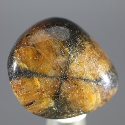 Chiastolite Polished Stone ~25mm