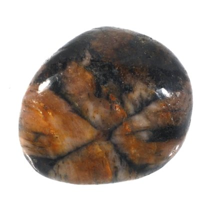 Chiastolite Polished Stone ~25mm