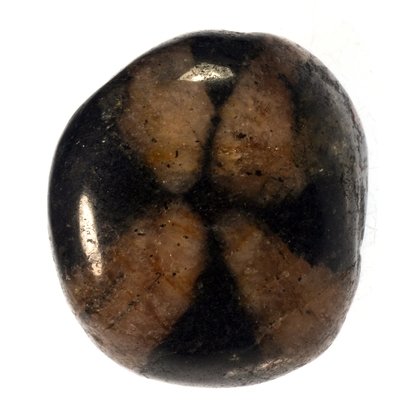 Chiastolite Tumble Stone ~21mm