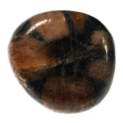 Chiastolite Tumble Stone ~24mm