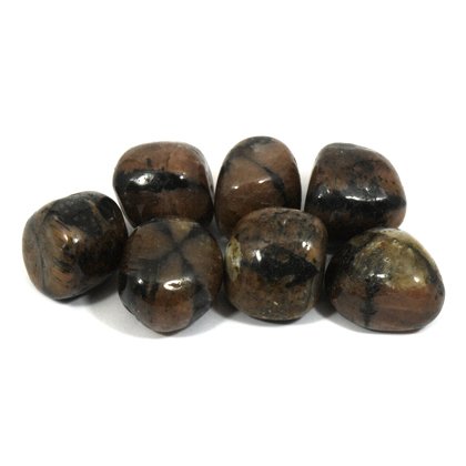 Chiastolite Tumble Stone (25-30mm)