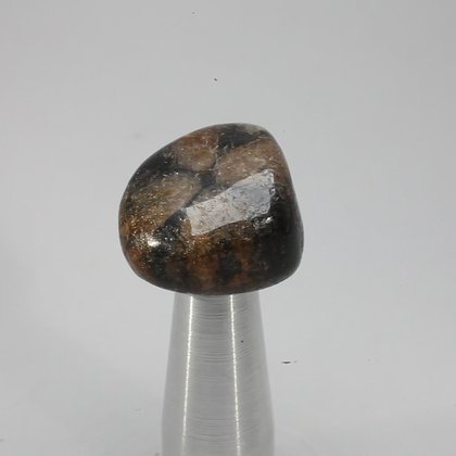 Chiastolite Tumblestone ~23mm