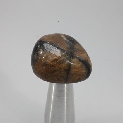 Chiastolite Tumblestone ~25mm