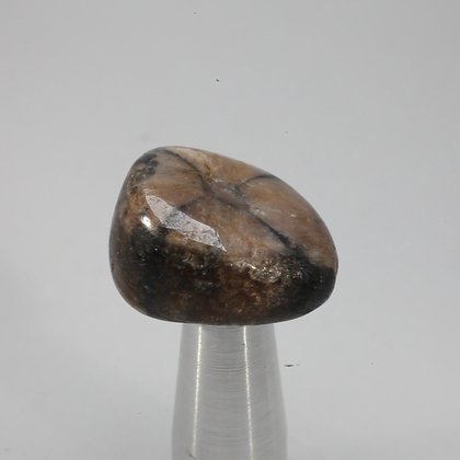 Chiastolite Tumblestone ~26mm