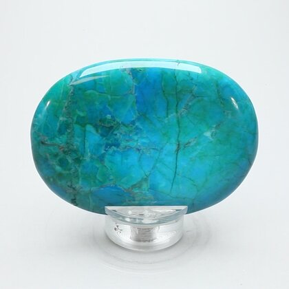 Chrysocolla Howlite Palmstone (Extra Grade) ~70x50mm