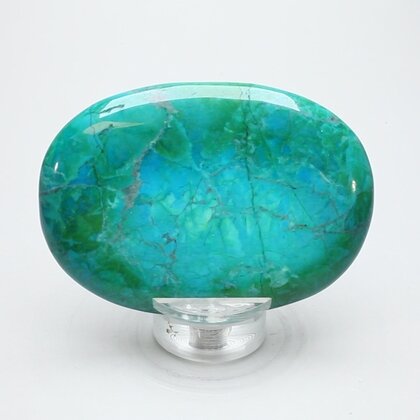Chrysocolla Howlite Palmstone (Extra Grade) ~70x50mm