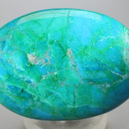 Chrysocolla Howlite Palmstone (Extra Grade) ~70x50mm