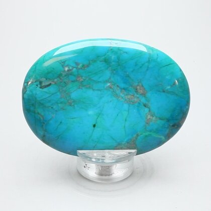 Chrysocolla Howlite Palmstone (Extra Grade) ~70x50mm