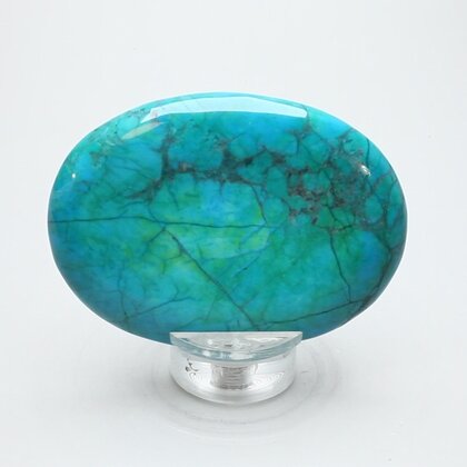 Chrysocolla Howlite Palmstone (Extra Grade) ~70x50mm