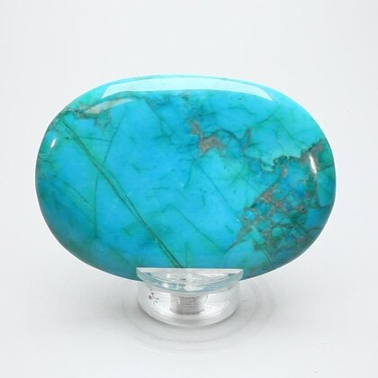 Chrysocolla Howlite Palmstone (Extra Grade) ~70x50mm