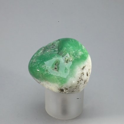 Chrysoprase Tumblestone ~30mm