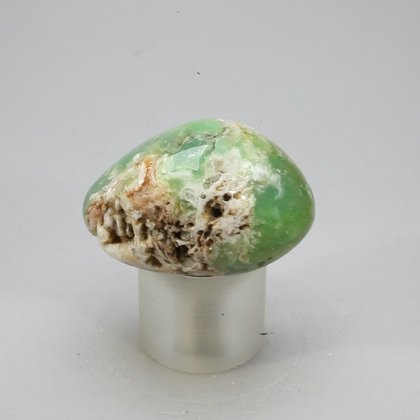 Chrysoprase Tumblestone ~33mm