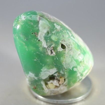 Chrysoprase Tumblestone ~37mm