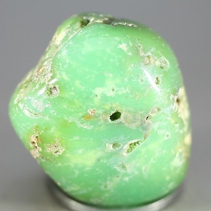 Chrysoprase Tumblestone ~38mm