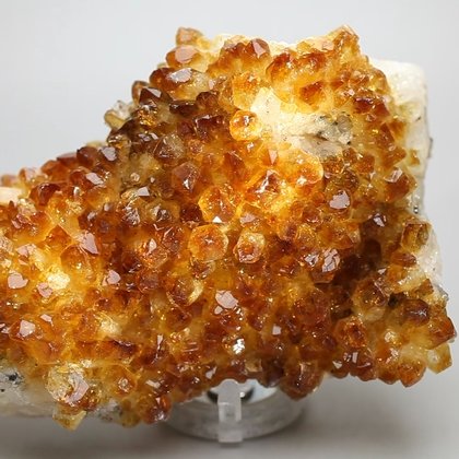 Citrine Cluster ~10.5 x 7.5cm