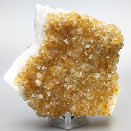 Citrine Cluster ~8 x 8cm