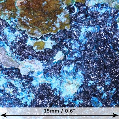 Clinoclase Mineral Specimen ~ 50mm