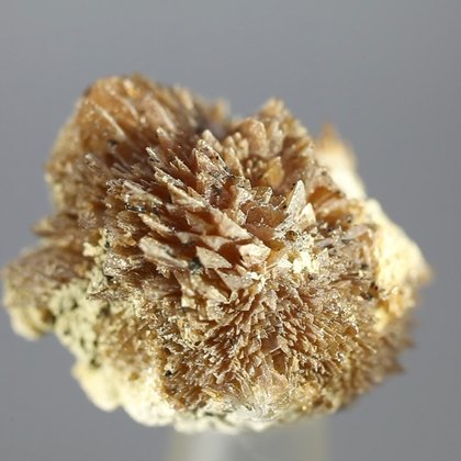 Colemanite Healing Mineral ~20mm