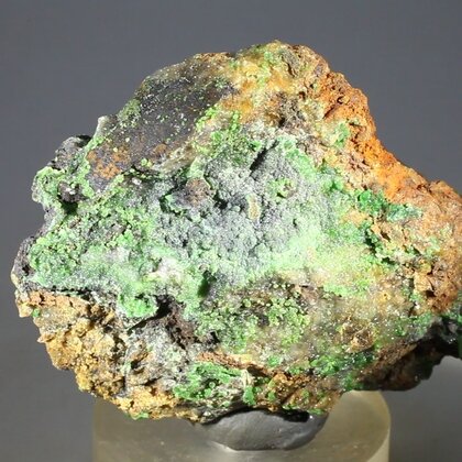 Conichalcite Mineral Specimen ~56mm