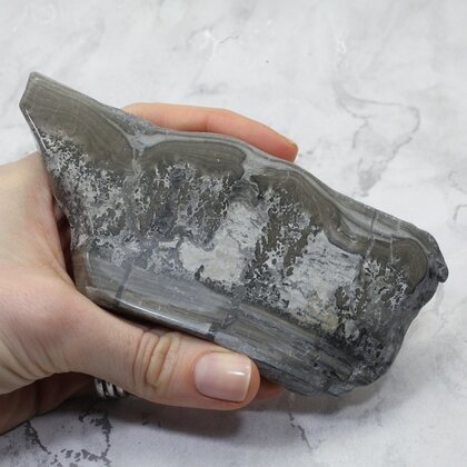 Cotham Marble Polished Slice ~138mm