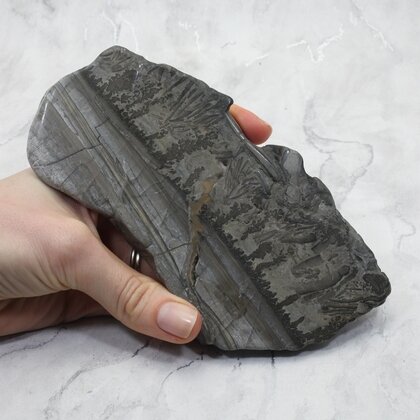 Cotham Marble Polished Slice ~160mm