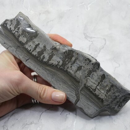 Cotham Marble Polished Slice ~185mm