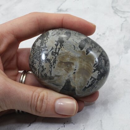 Cotham Marble Polished Stone ~67mm
