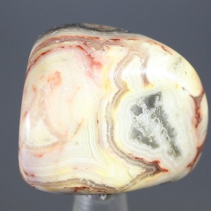 Crazy Lace Agate Tumblestone ~28mm