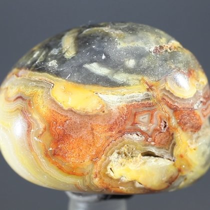 Crazy Lace Agate Tumblestone ~30mm