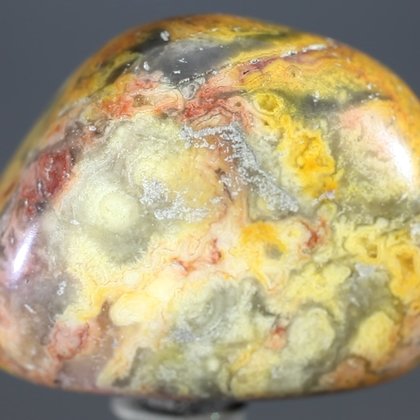 Crazy Lace Agate Tumblestone ~31mm