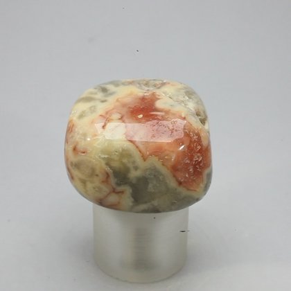 Crazy Lace Agate Tumblestone ~32mm