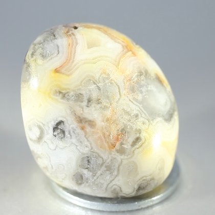 Crazy Lace Agate Tumblestone ~33mm